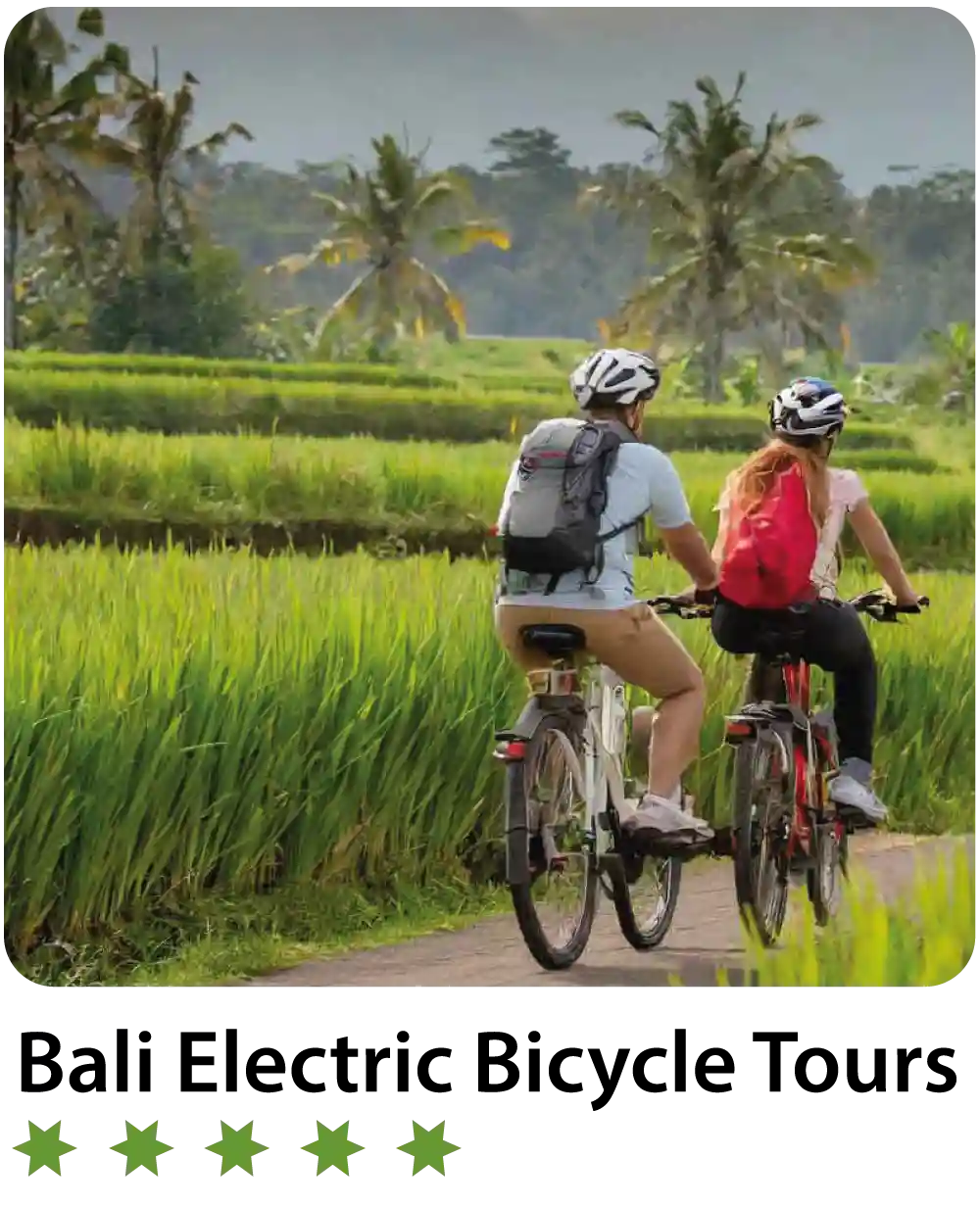 Electric-Bike-Tour-Ubud-Bali