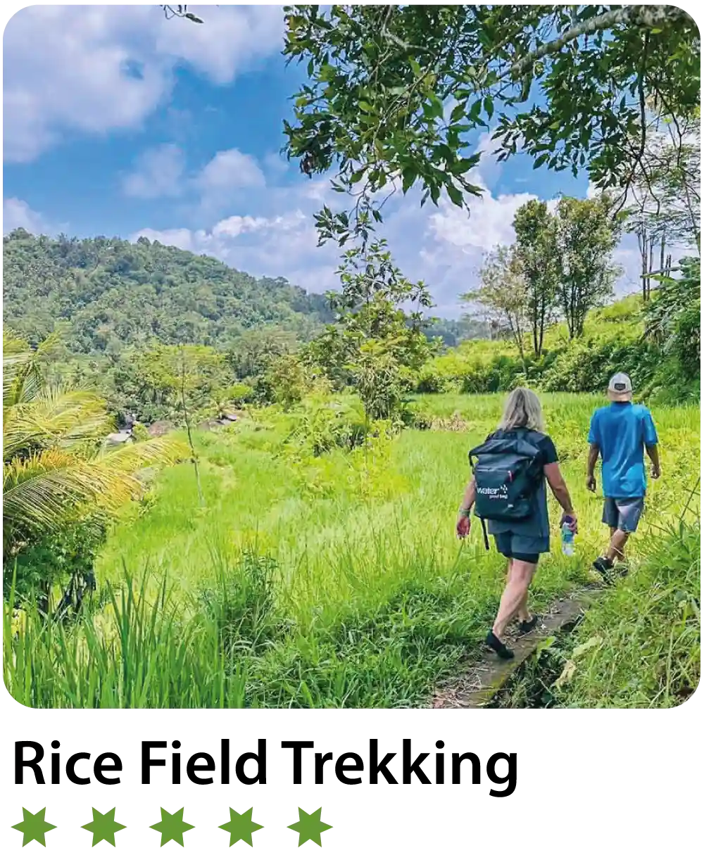 Rice-Field-Trekking-in-Sidemen-Bali