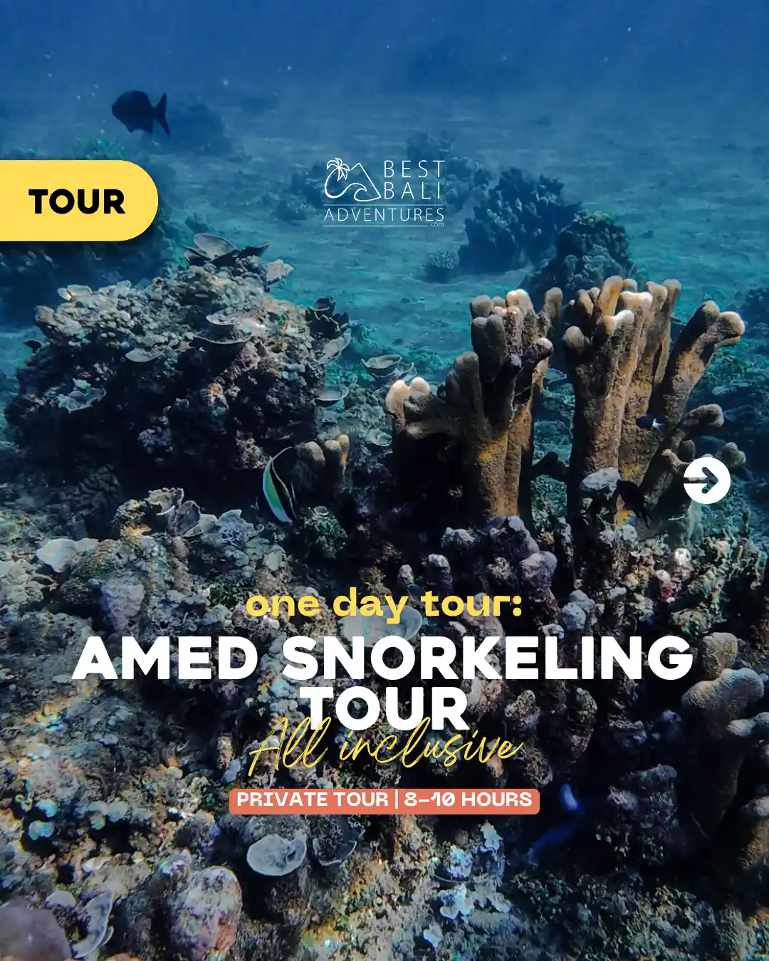 Amed Snorkeling Tour
