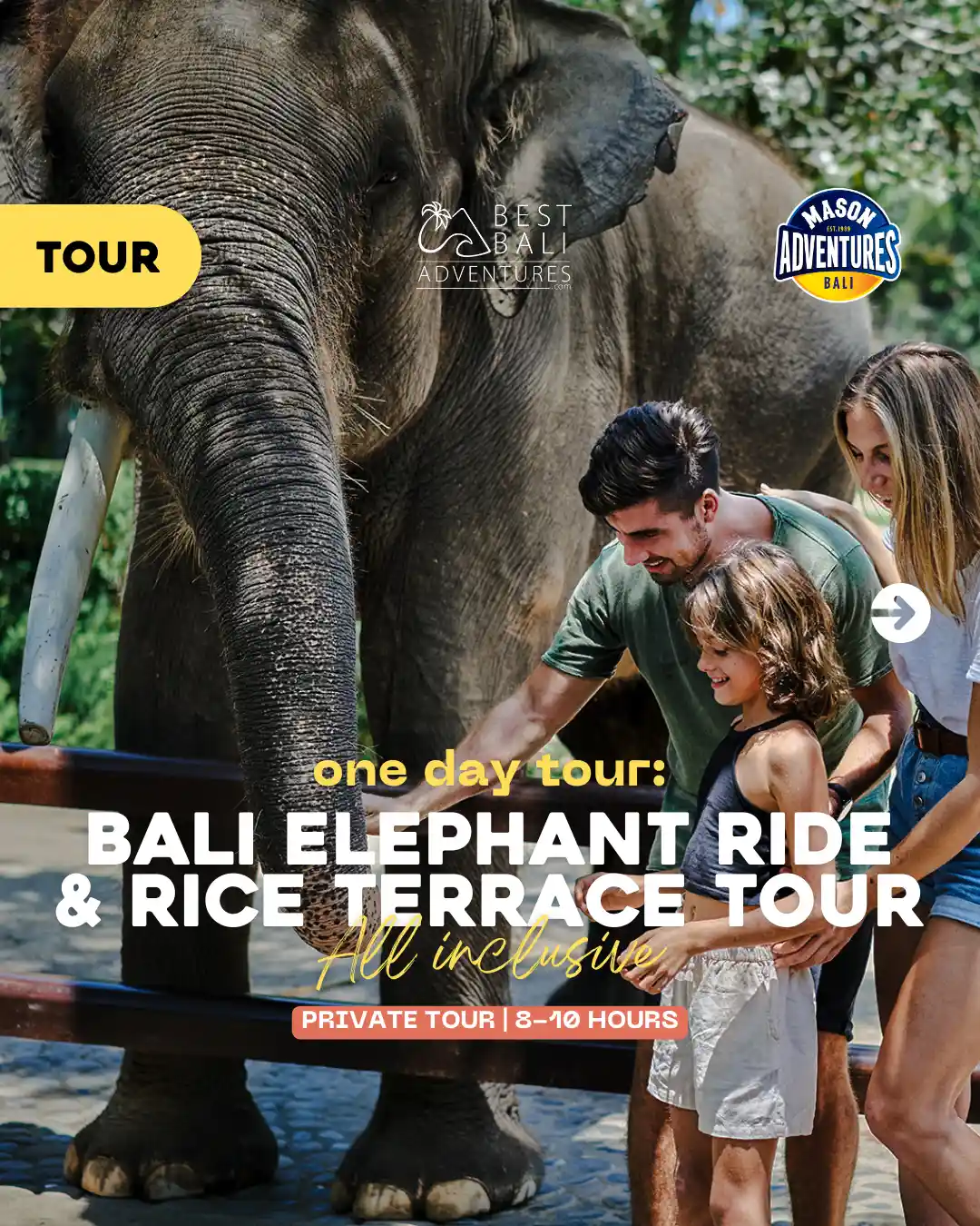 Bali Elephant Ride Tour