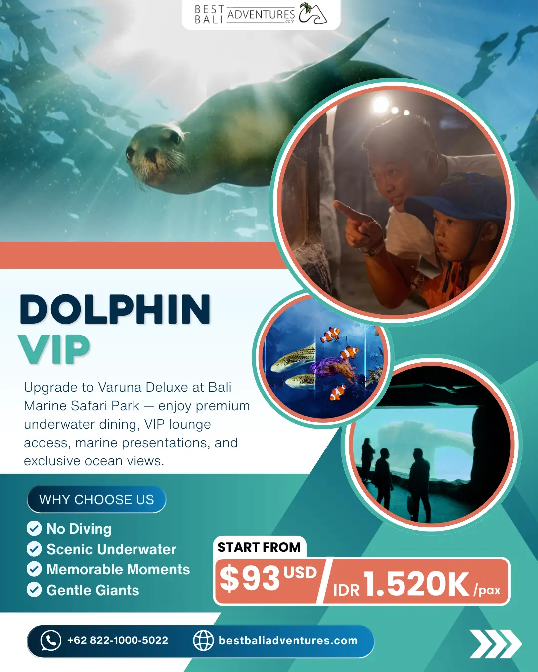 Bali Marine Park Dolphin VIP Experience with Best Bali Adventures