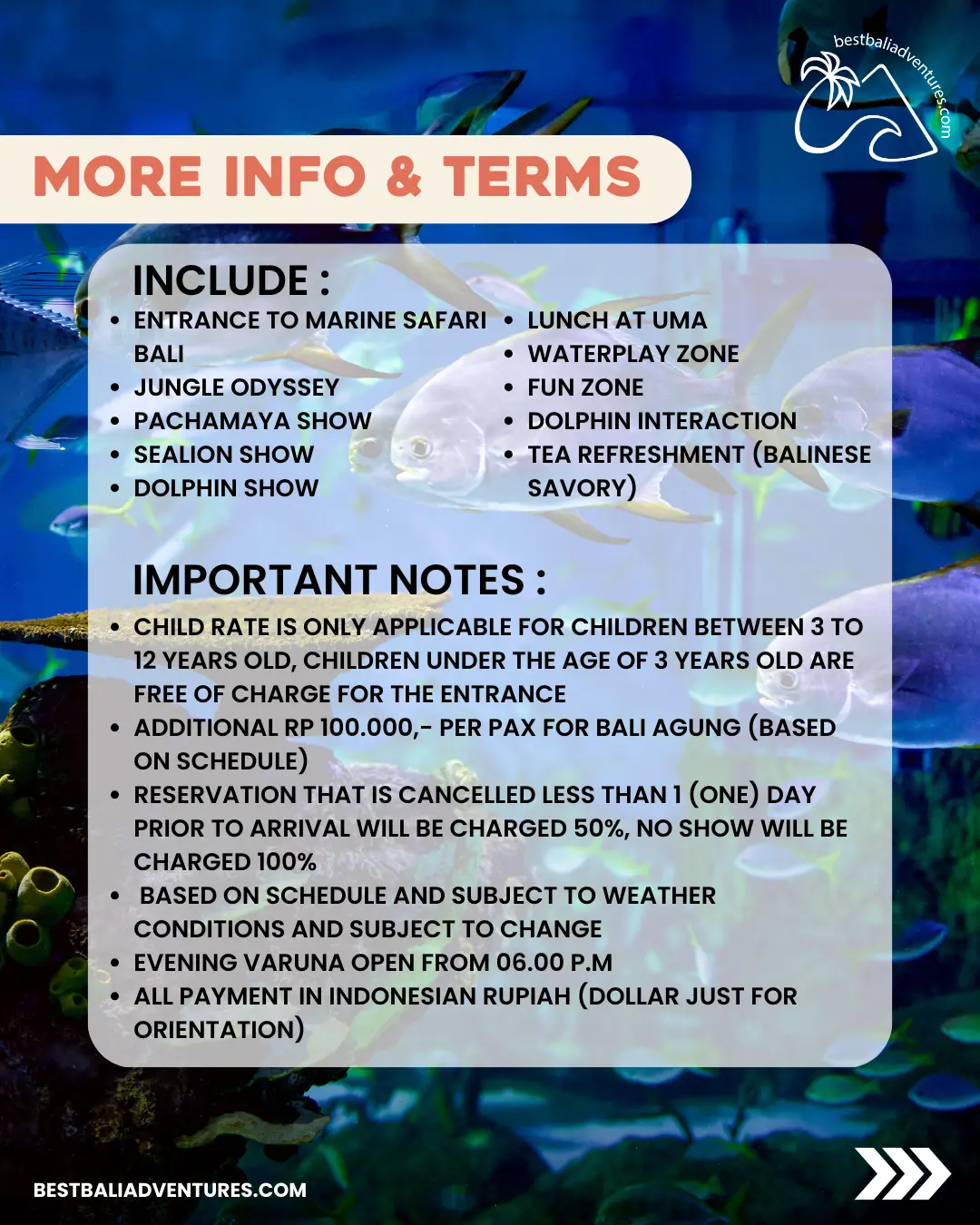 Bali Marine Park Dolphin VIP Experience with Best Bali Adventures