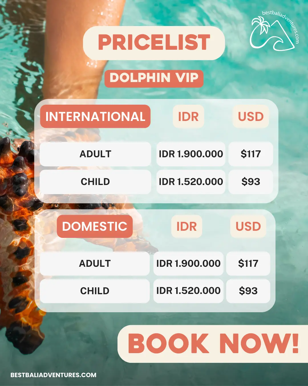 Bali Marine Park Dolphin VIP Experience with Best Bali Adventures