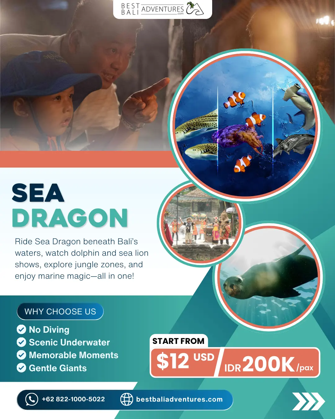 Bali Marine Park Sea Dragon Experience with Best Bali Adventures