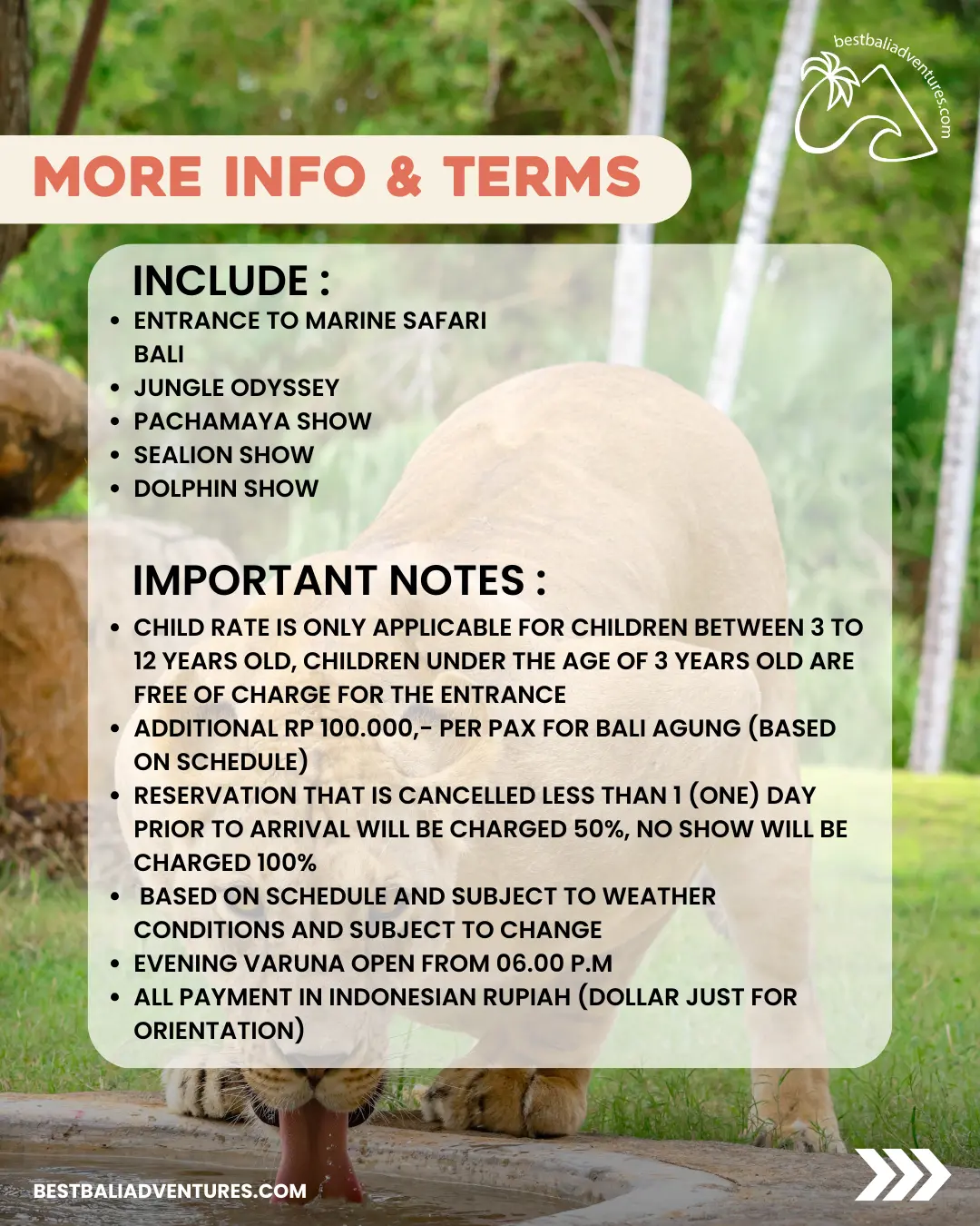 Bali Marine Park Sea Dragon Experience with Best Bali Adventures