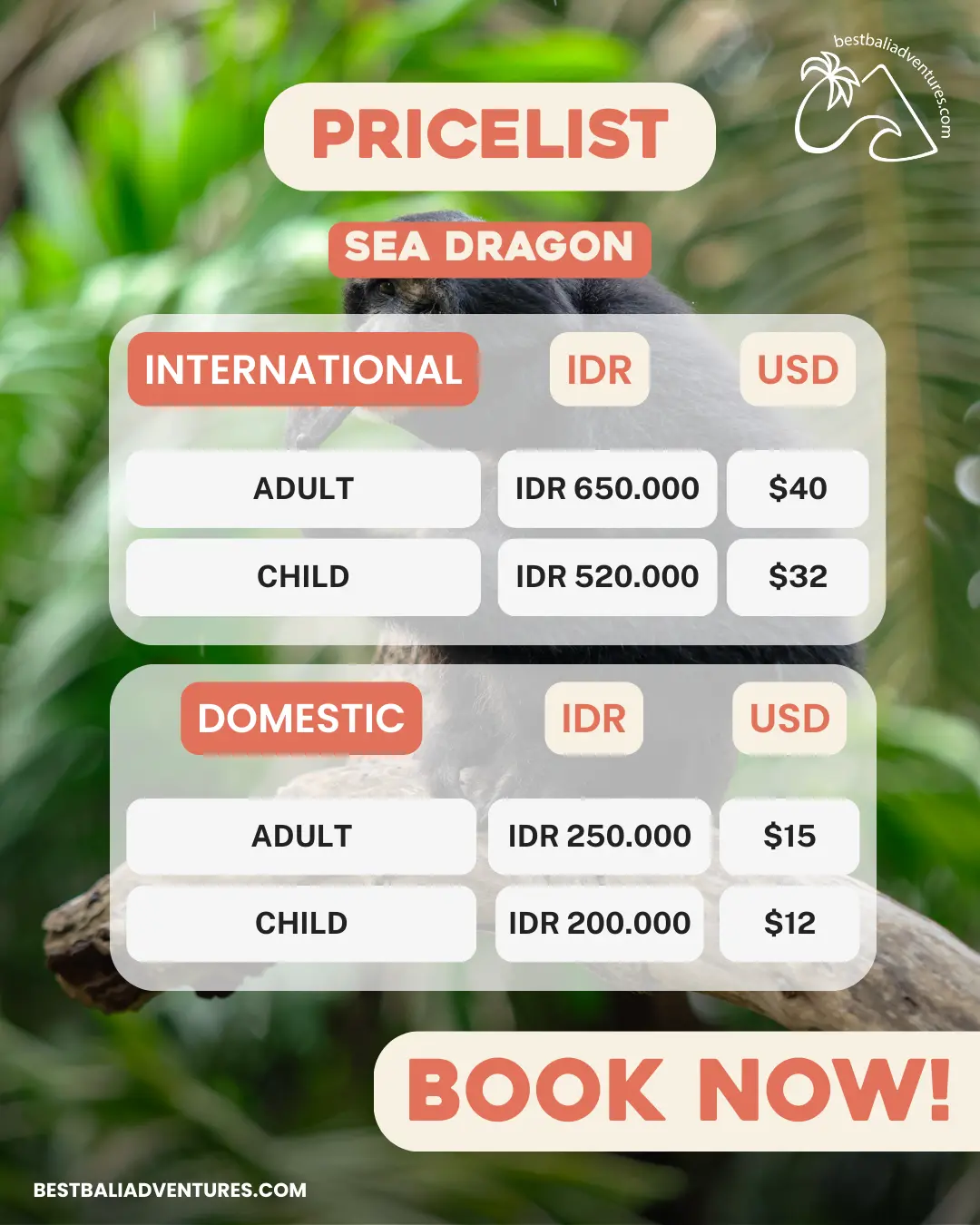 Bali Marine Park Sea Dragon Experience with Best Bali Adventures