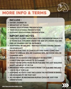 Bali Safari Park Breakfast with Lion with Best Bali Adventures