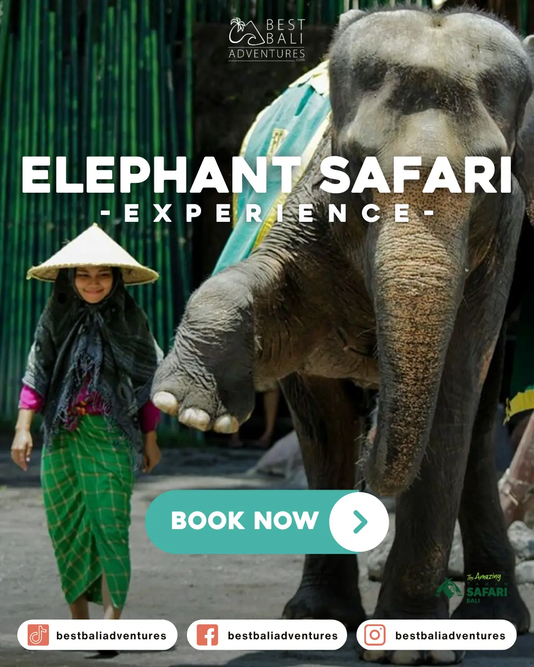 Bali Safari Park Elephant Safari with Best Bali Adventures