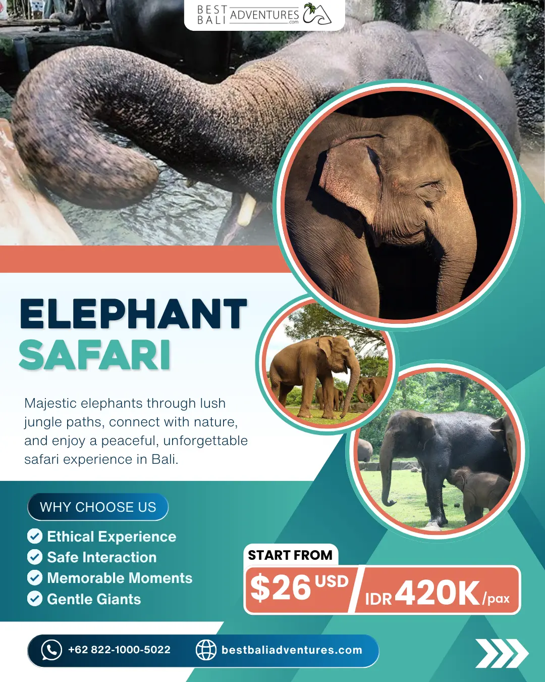 Bali Safari Park Elephant Safari with Best Bali Adventures