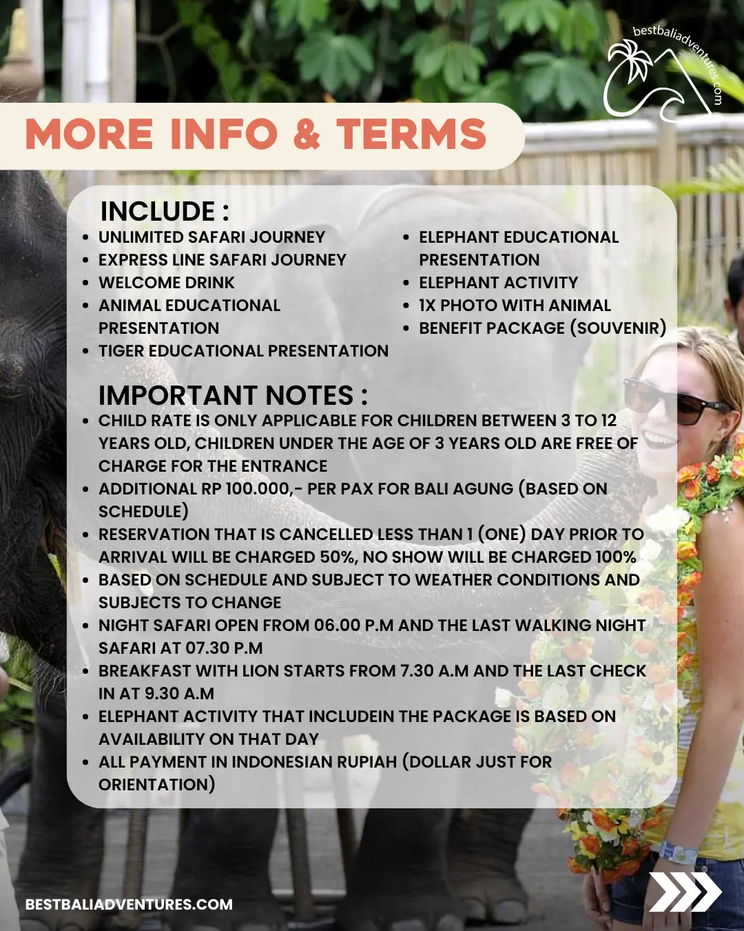 Bali Safari Park Elephant Safari with Best Bali Adventures