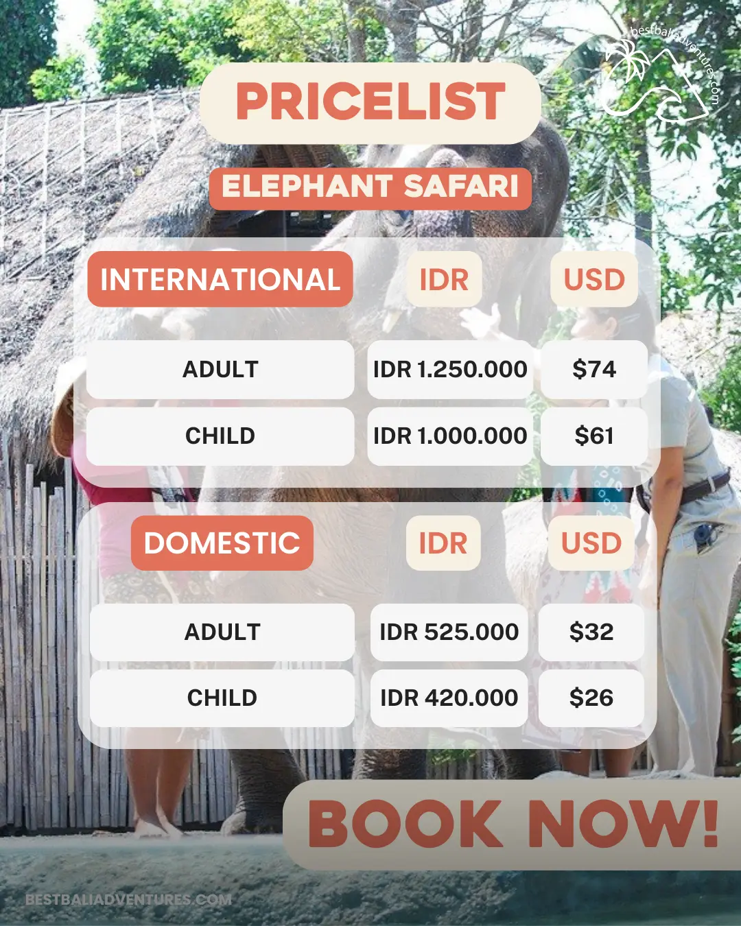 Bali Safari Park Elephant Safari with Best Bali Adventures