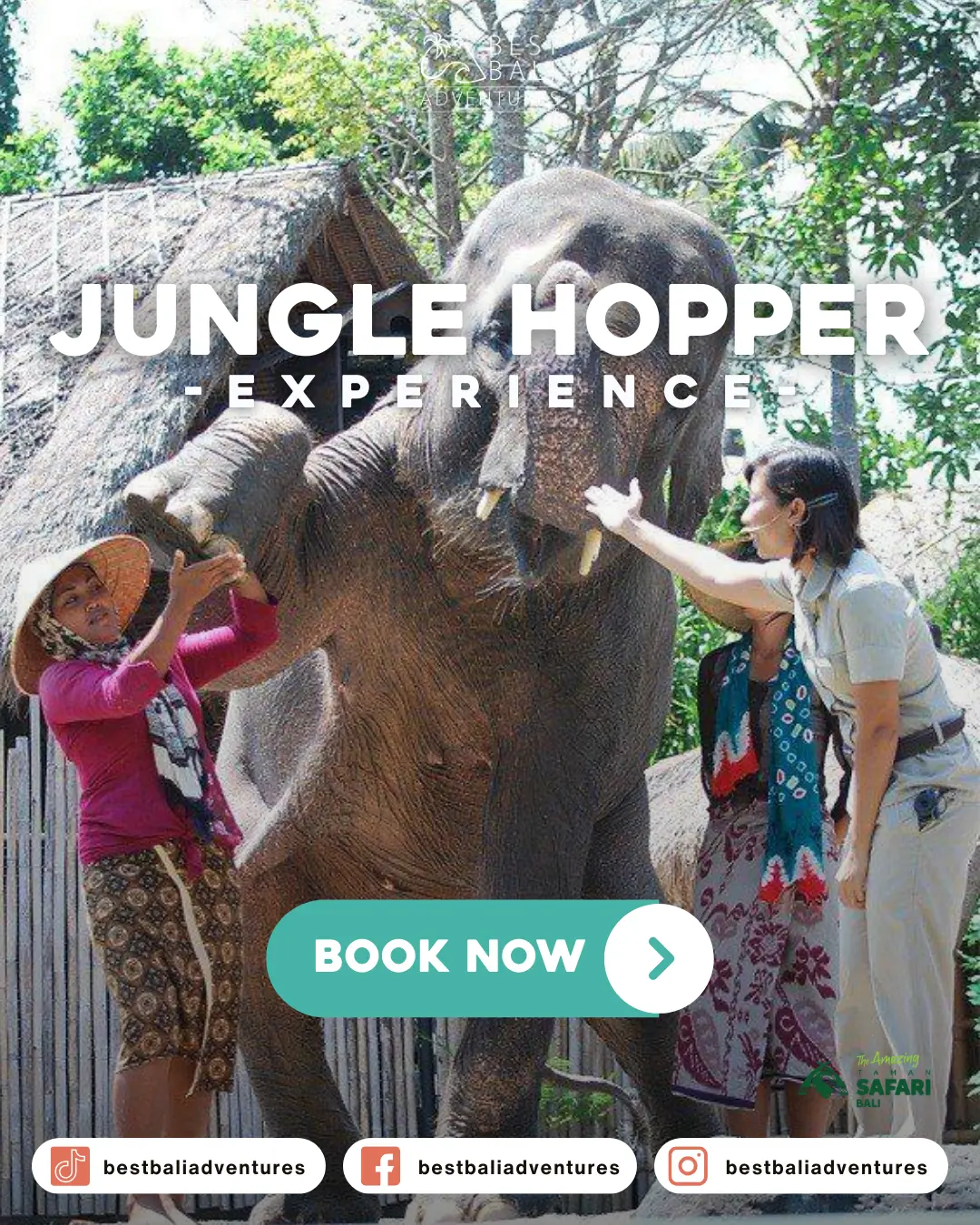 Bali Safari Park Jungle Hopper with Best Bali Adventures