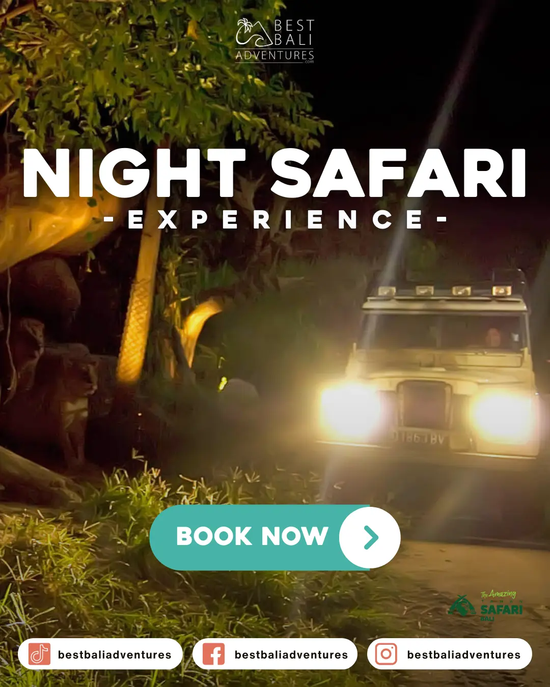 Bali Safari Park Night Safari with Best Bali Adventures