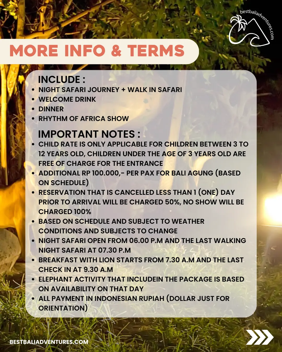 Bali Safari Park Night Safari with Best Bali Adventures