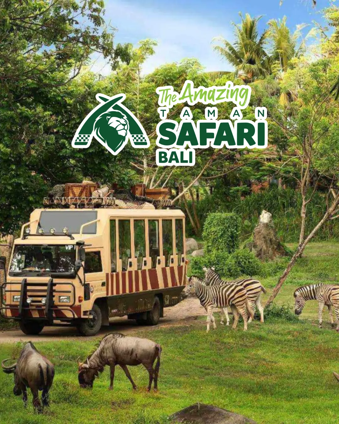 Bali Safari Park with Best Bali Adventures