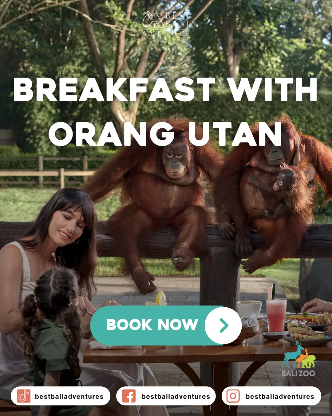 Breakfast with Orang Utang at Bali Zoo with Best Bali Adventures 1