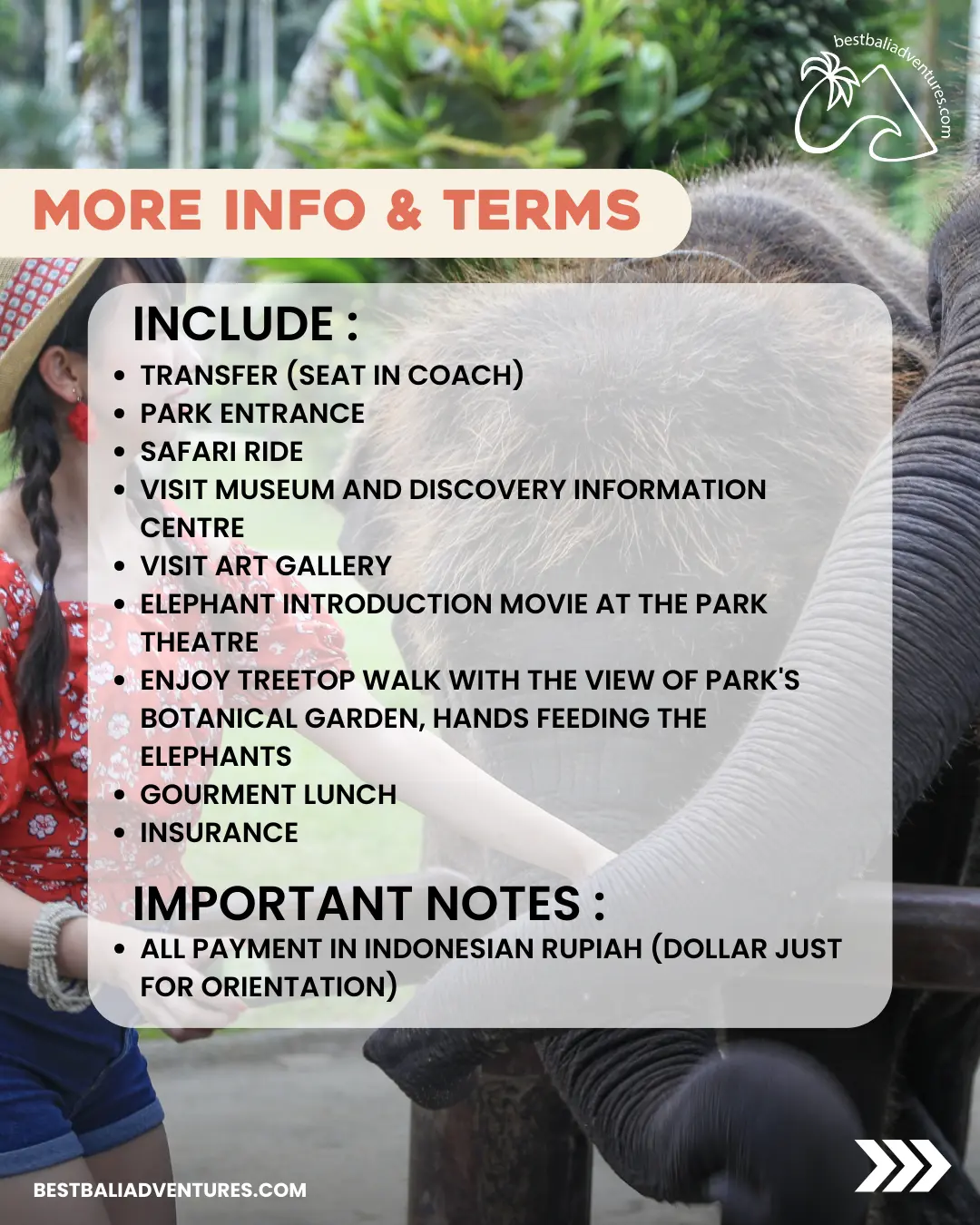 Mason Adventures Elephant Safari by Best Bali Adventures