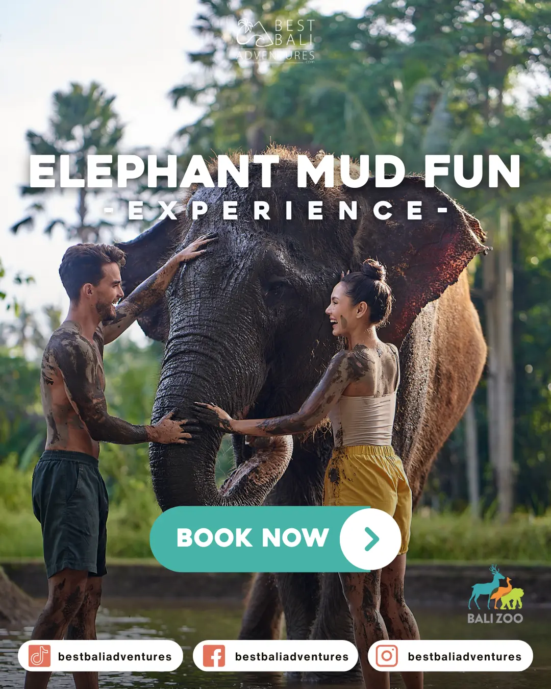 Elephant Mud Fun at Bali Zoo with Best Bali Adventures 1