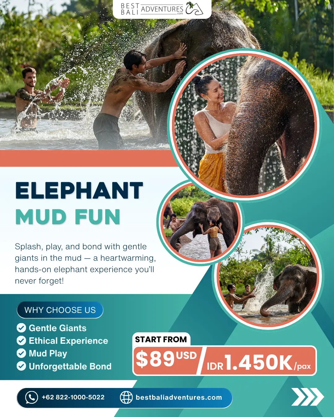 Elephant Mud Fun at Bali Zoo with Best Bali Adventures 2