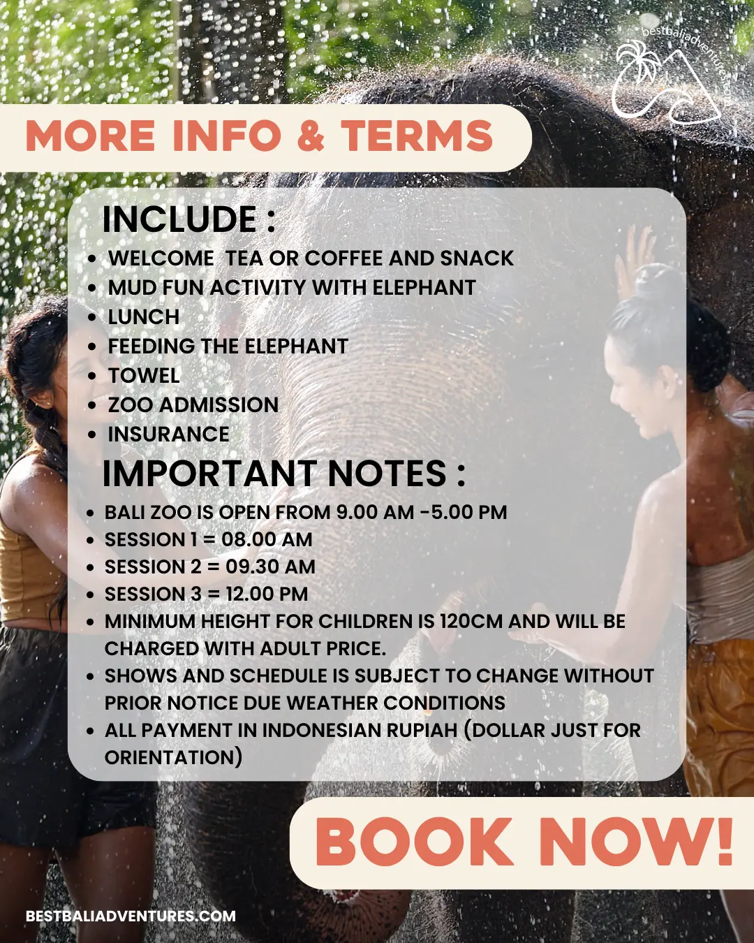 Elephant Mud Fun at Bali Zoo with Best Bali Adventures 3