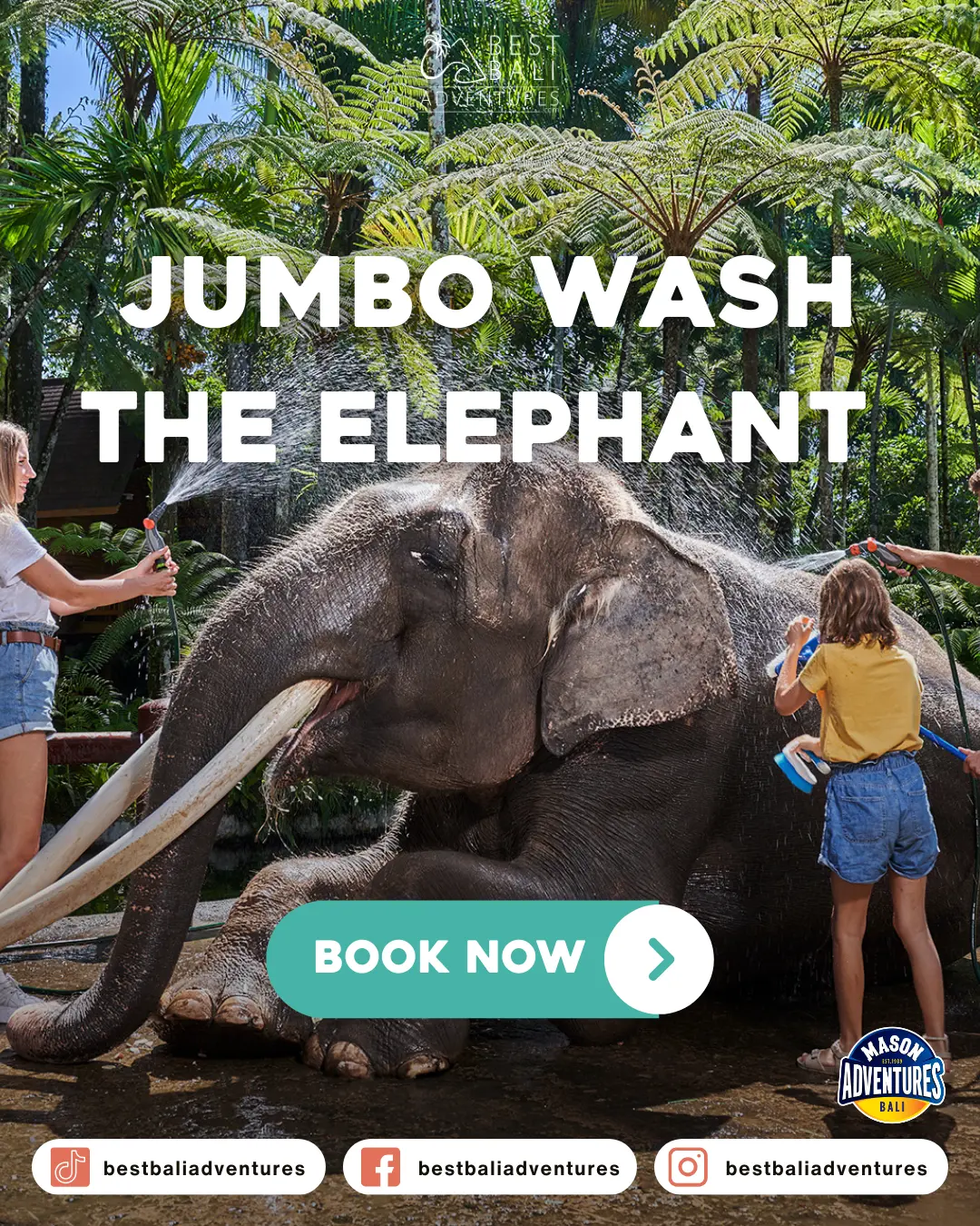 Best Bali Adventures Jumbo Wash The Elephant by Mason Adventures