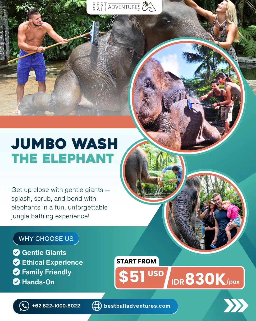Best Bali Adventures Jumbo Wash The Elephant by Mason Adventures