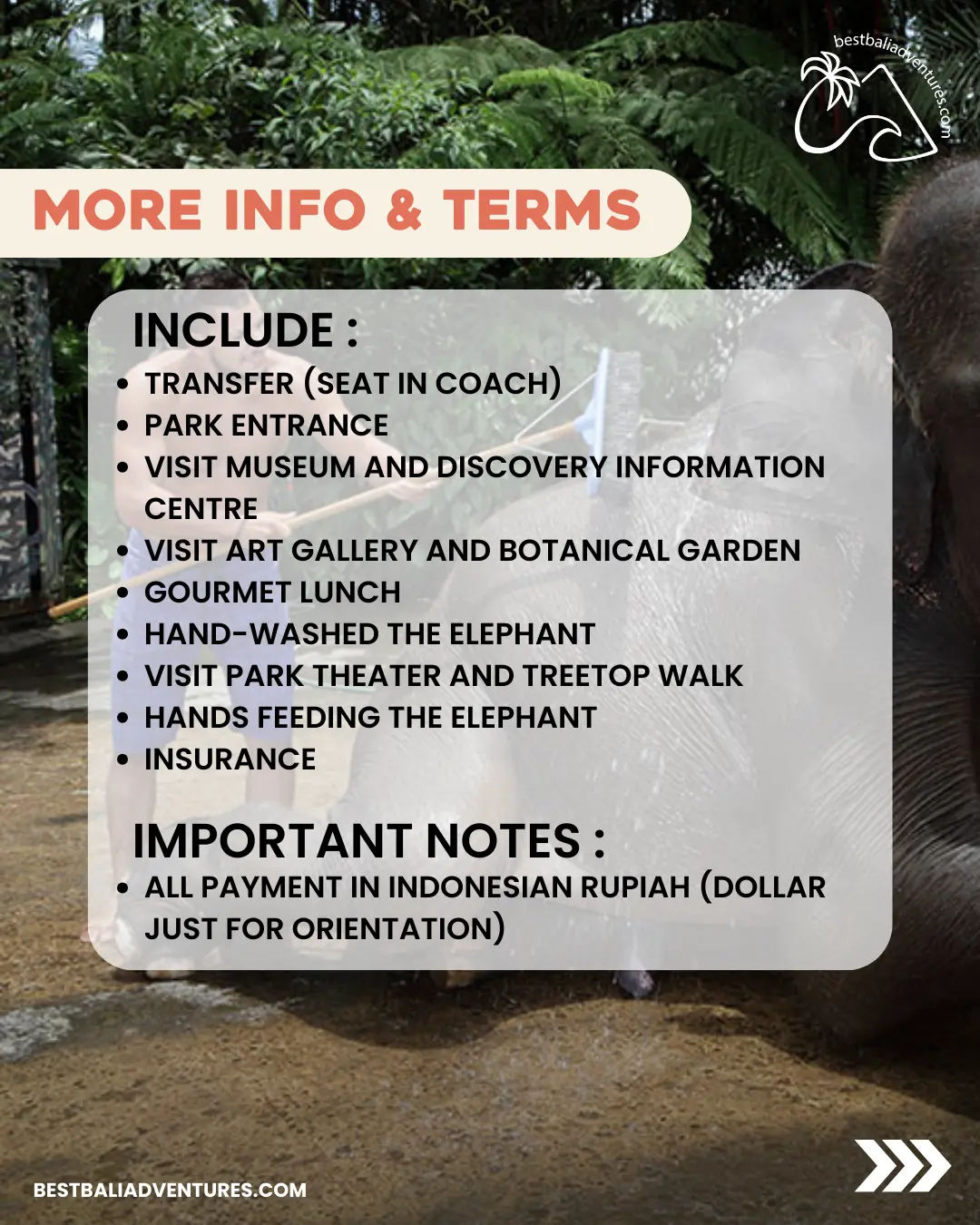 Best Bali Adventures Jumbo Wash The Elephant by Mason Adventures