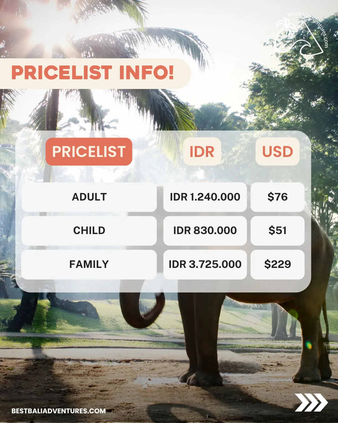 Best Bali Adventures Jumbo Wash The Elephant by Mason Adventures