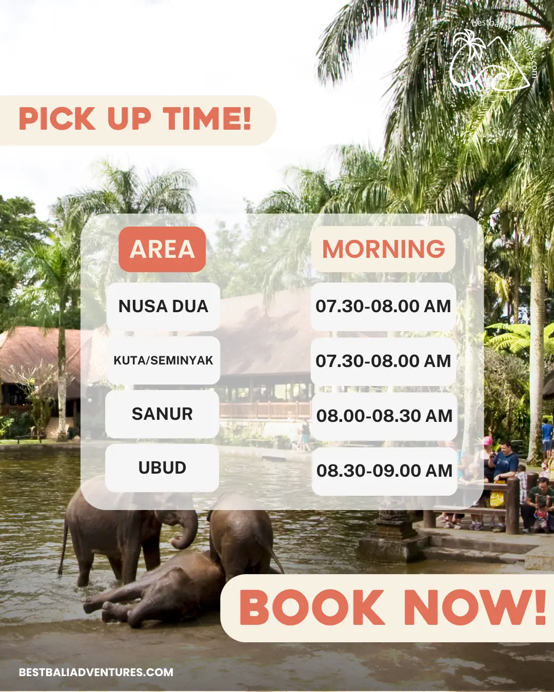 Best Bali Adventures Jumbo Wash The Elephant by Mason Adventures