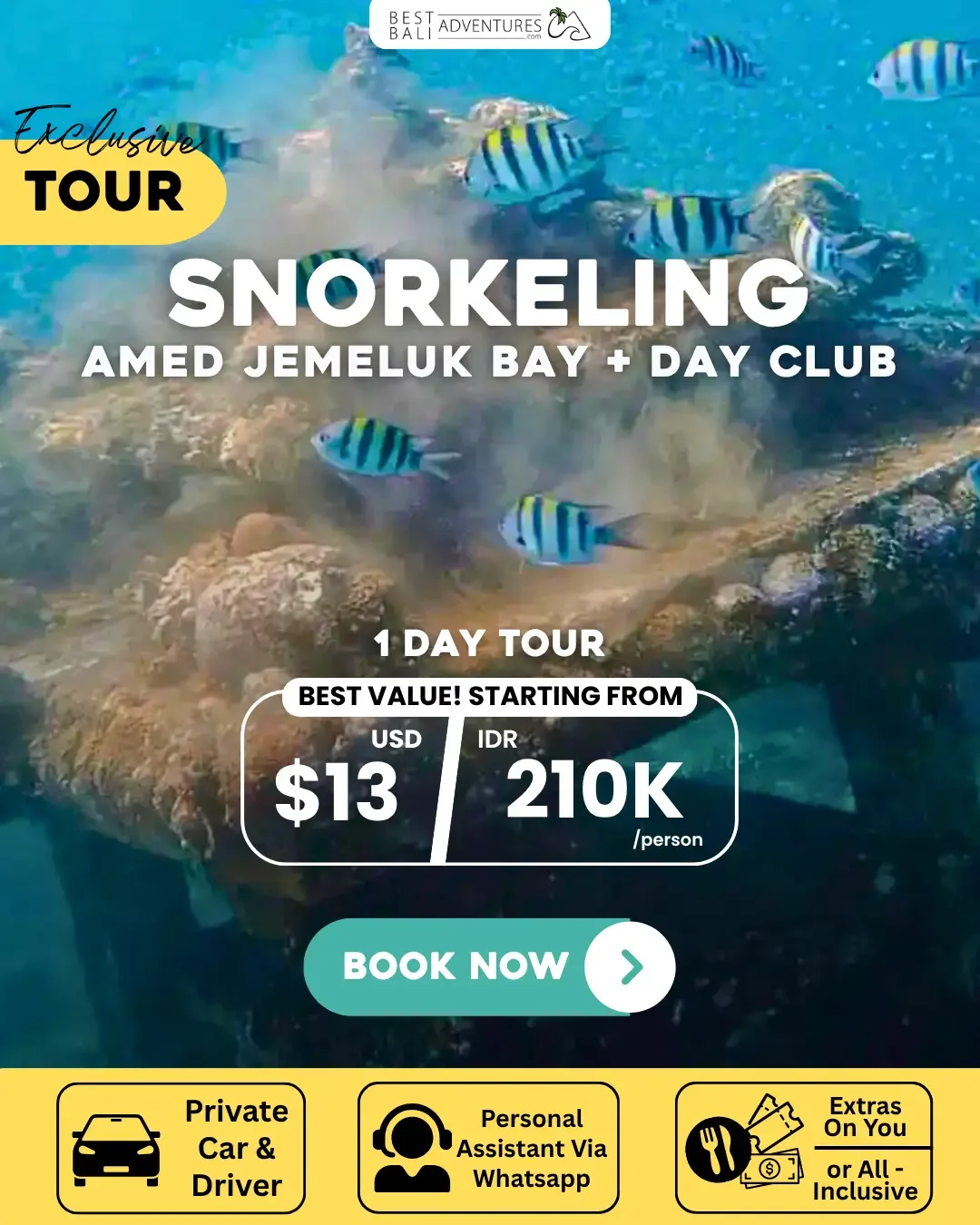 AMED SNORKELING AT JEMELUK BAY AND DAY CLUB TOUR