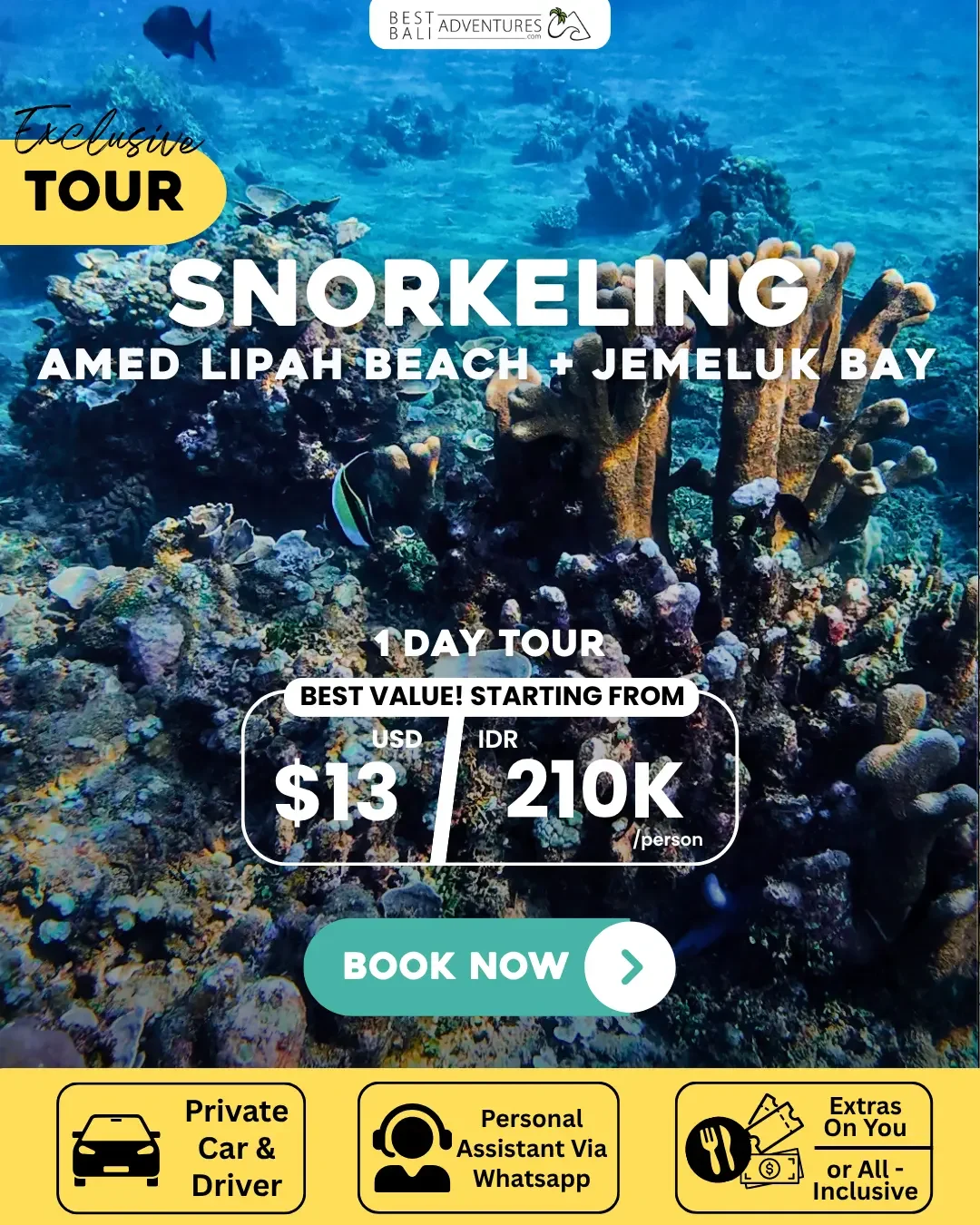 AMED SNORKELING TOUR