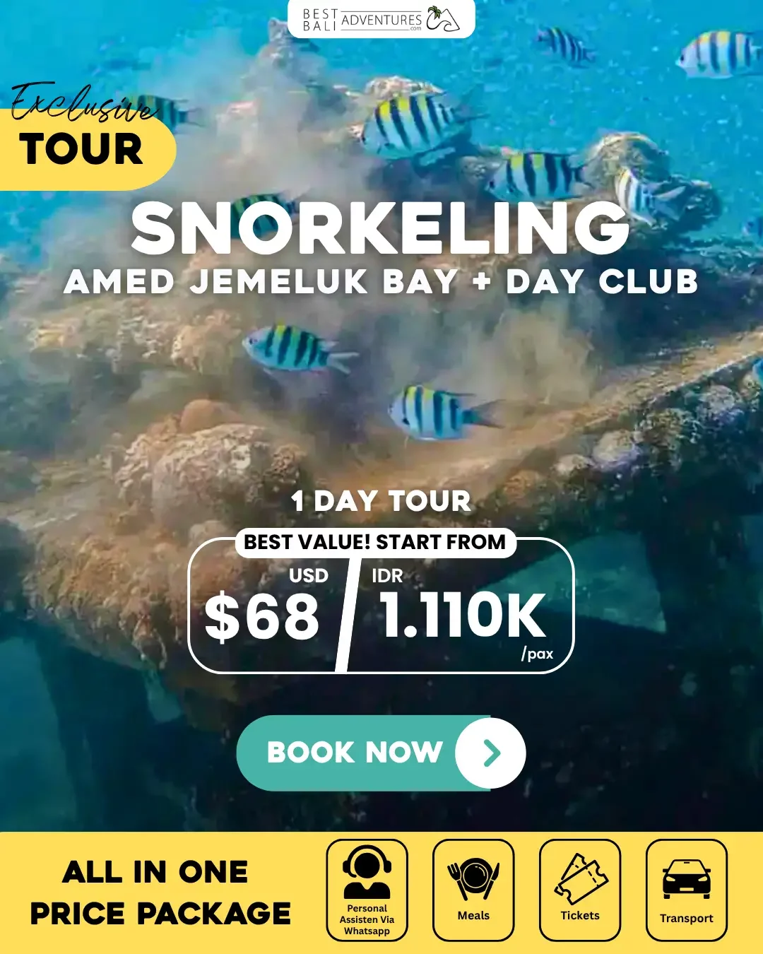 Amed Snorkeling at Jemeluk Bay and Day Club Tour