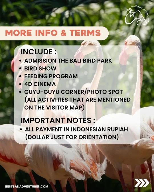 Bali Bird Park Info