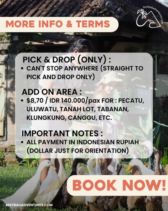 Bali Bird Park More info