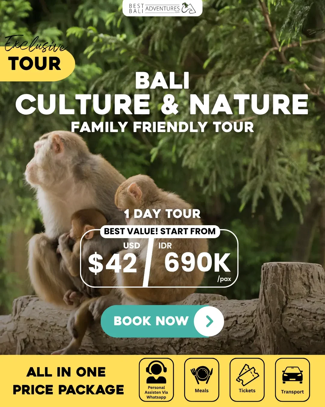 Bali Culture and Nature Family Friendly Tour