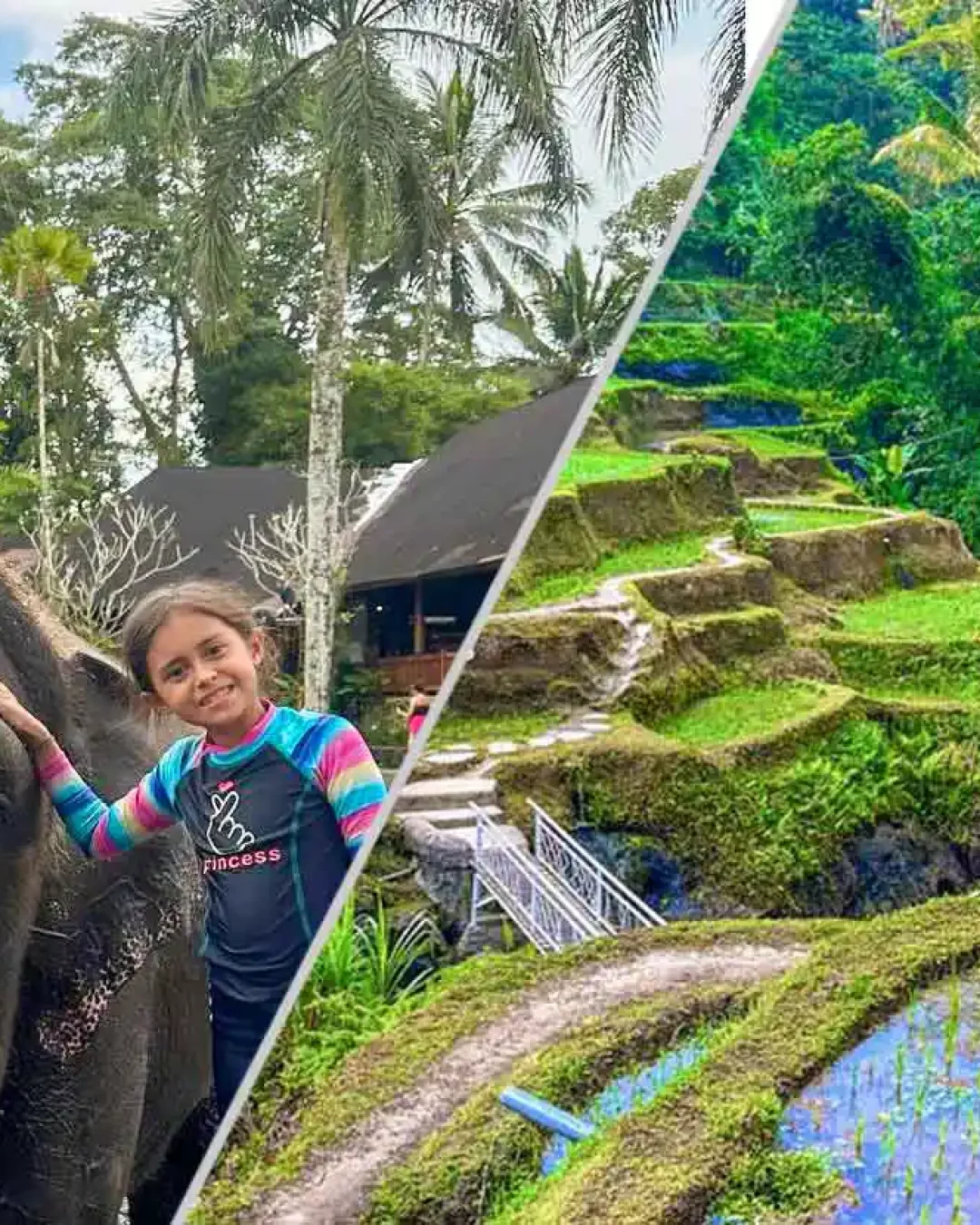 Bali Elephant Ride and Rice Terrace Tour