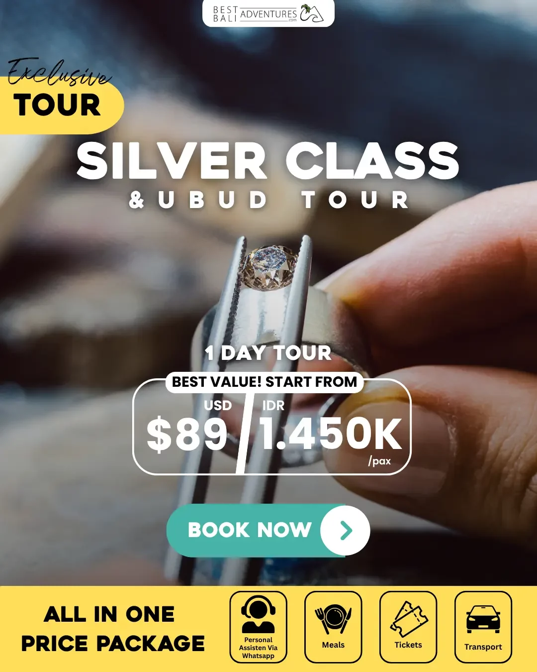 Bali Silver Class and Ubud Tour