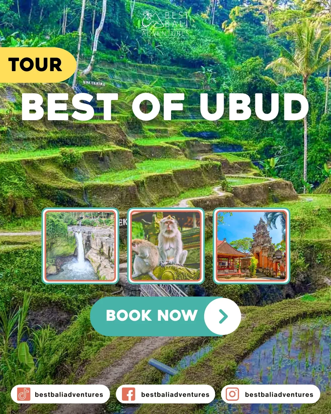 Best of Ubud Tour