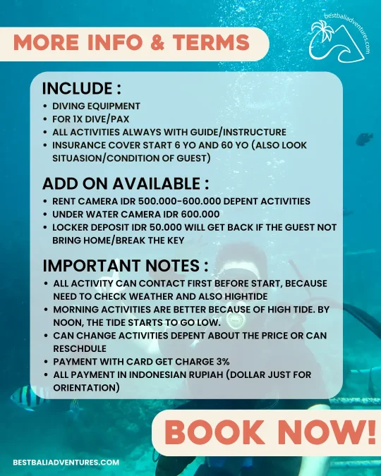 Diving Bali Info