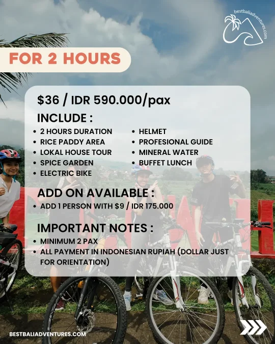 E-Bike Bali Jatiluwih 2 hours