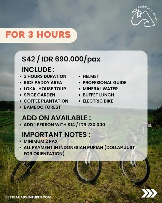 E-Bike Bali Jatiluwih 3h hours