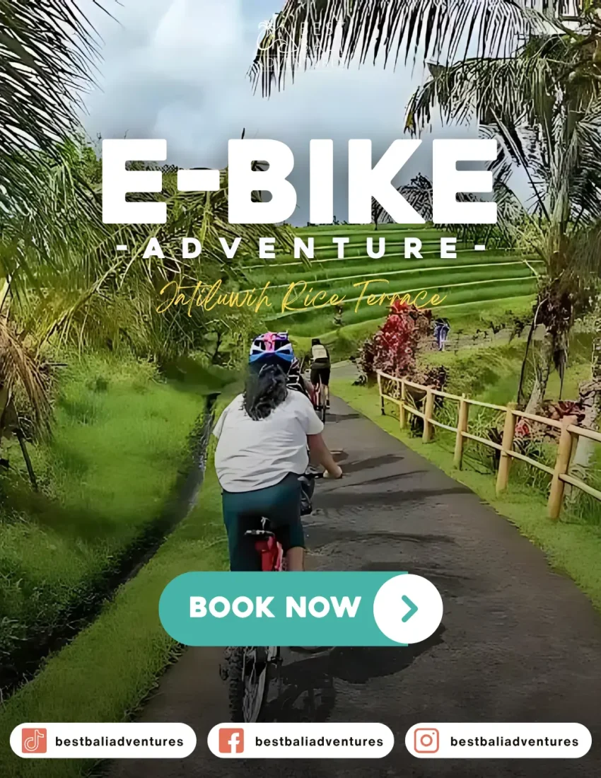 E-Bike Bali Jatiluwih Book Now