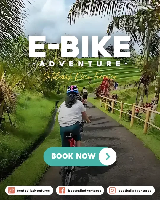 E-Bike Bali Jatiluwih Book Now