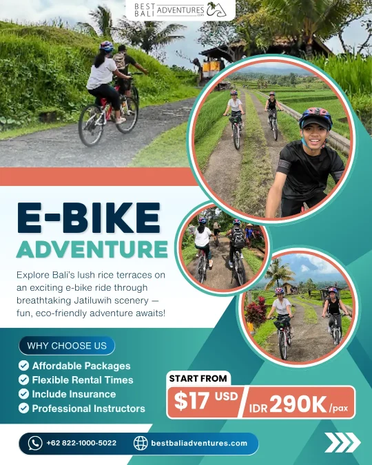E-Bike Bali Jatiluwih Price