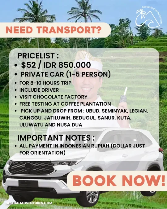 E-Bike Bali Jatiluwih Transport