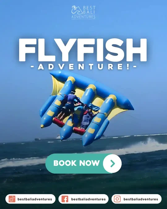 Flying Fish Bali Book Now