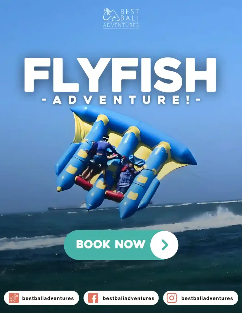 Flying Fish Bali Book Now