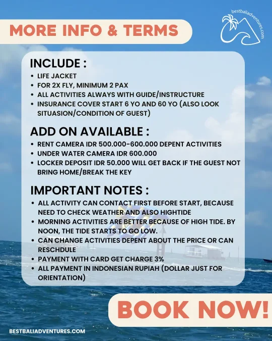 Flying Fish Bali Info