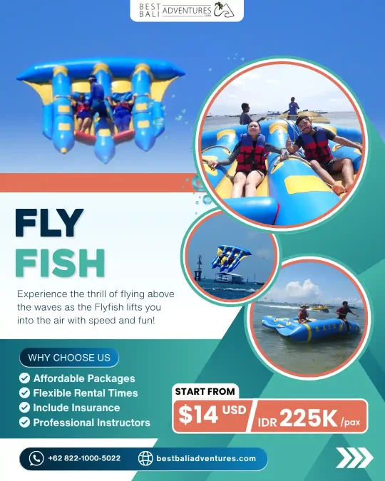Flying Fish Bali Price