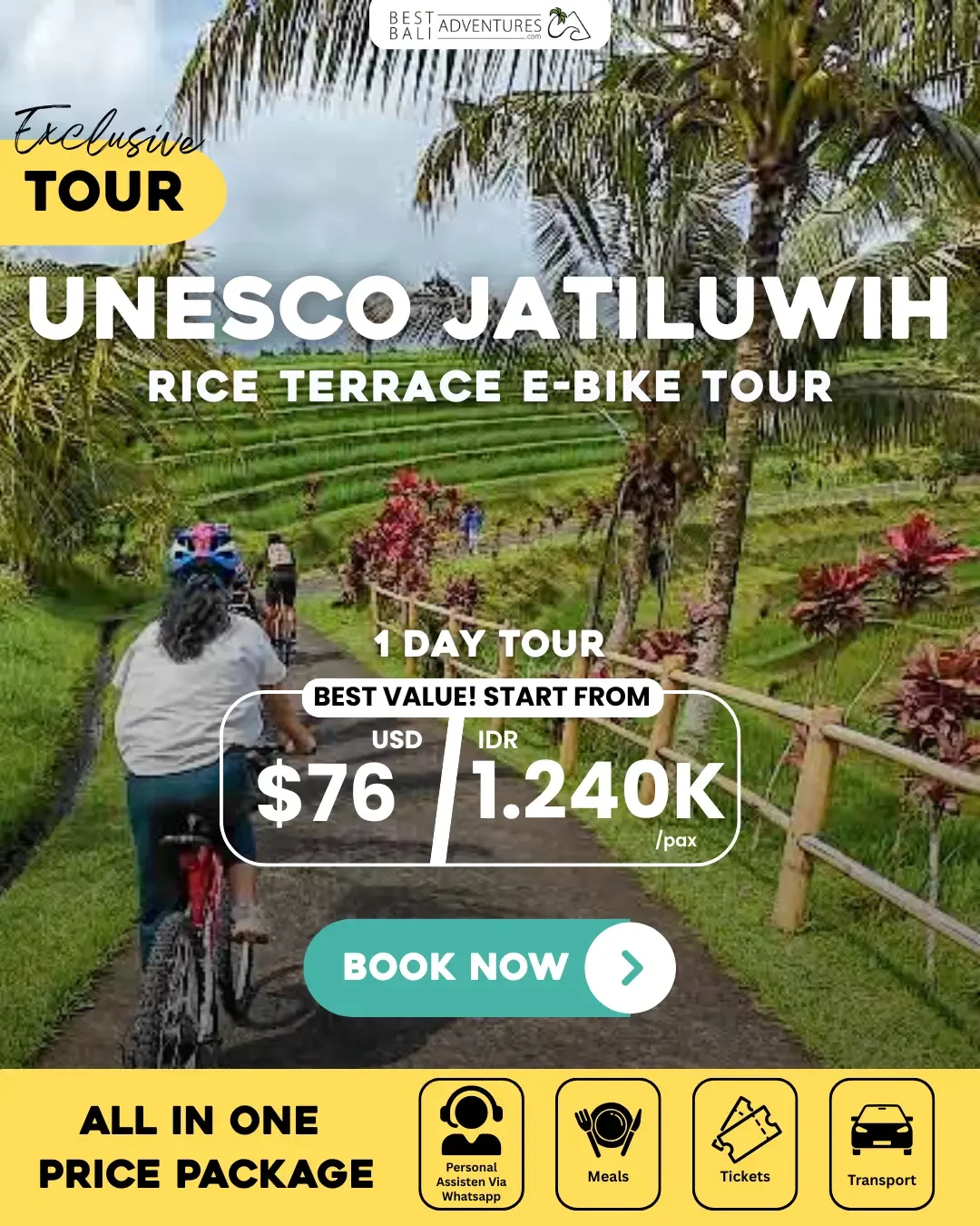Jatiluwih Rice Terrace E-Bike Tour 1